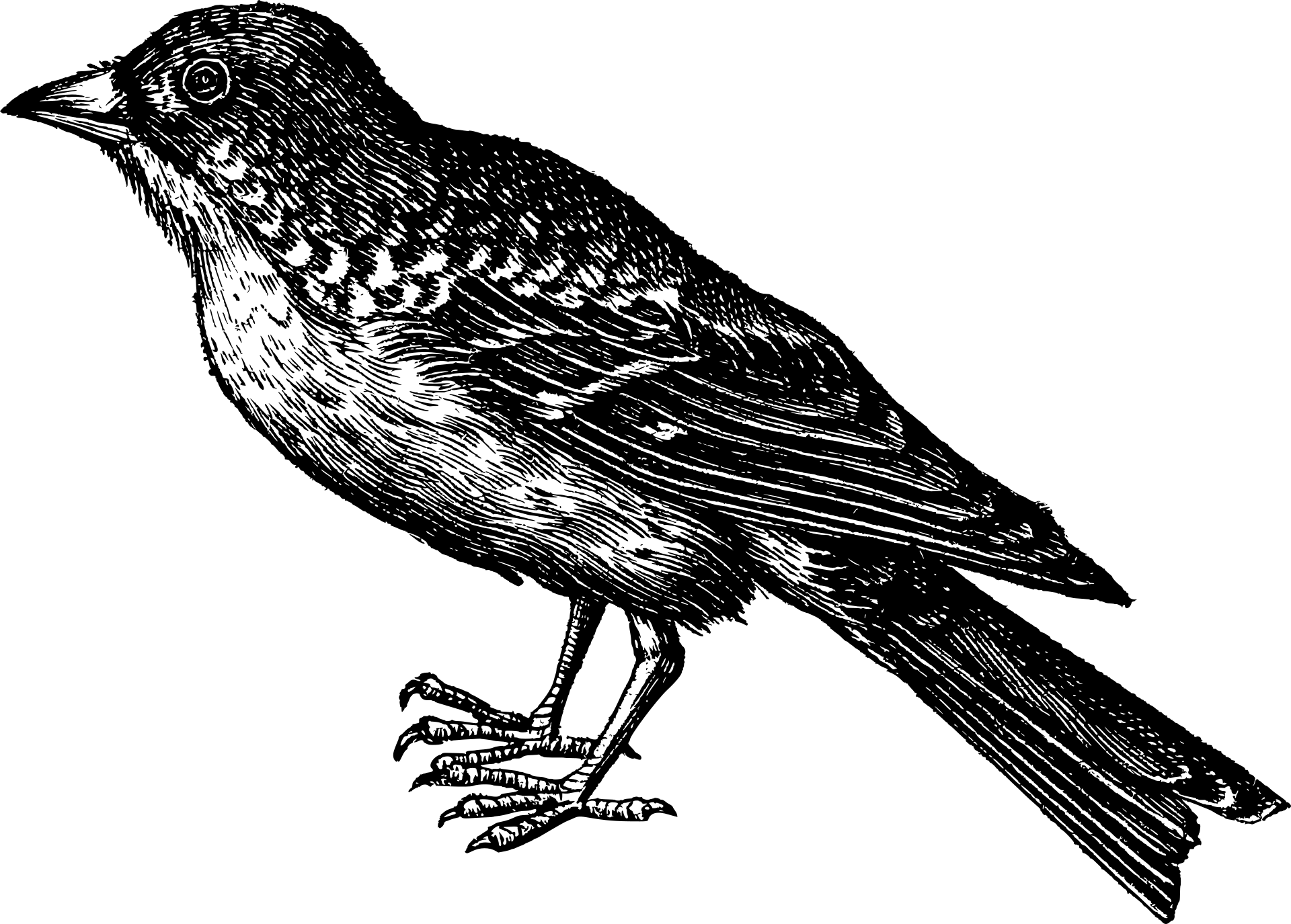 a2e16aef4d445d41213e746c7c5969cbcf6b5431